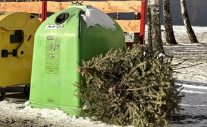 perex_vanocni stromek u kontejneru.jpg