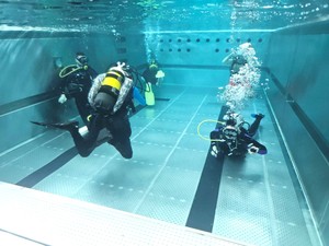 WhatsApp Image 2026-02-22 at 15