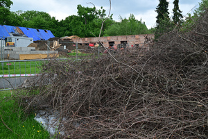 MHA_4174.jpg