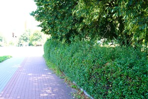 MMK01563.JPG