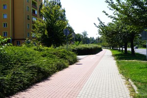 MMK01576.JPG