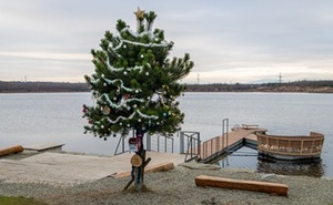 perex - strom Darkoff.jpg