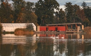 perex - Lodičky podzim - ilu.jpg