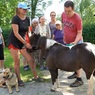 SSK zvířata malá.jpg