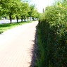MMK01580.JPG