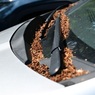 perex - autovraky ilu - foto MHA.jpg