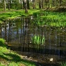 perex - Dotazník pro veřejnost - voda - foto MHA.jpg
