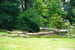 MMK03553.JPG